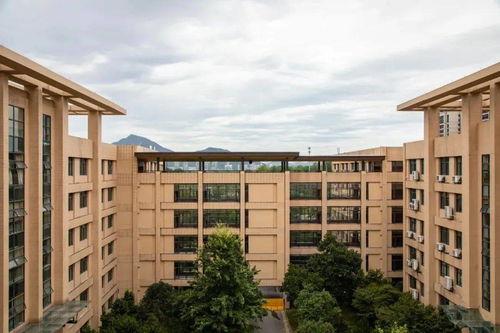 杭州一学校最新爆料,揭秘校园风云背后的真相