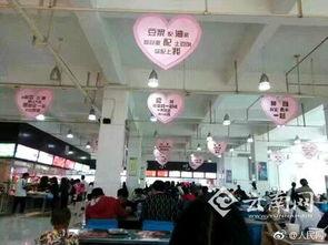 遂宁食堂爆料案件最新,揭开校园食品安全监管盲点