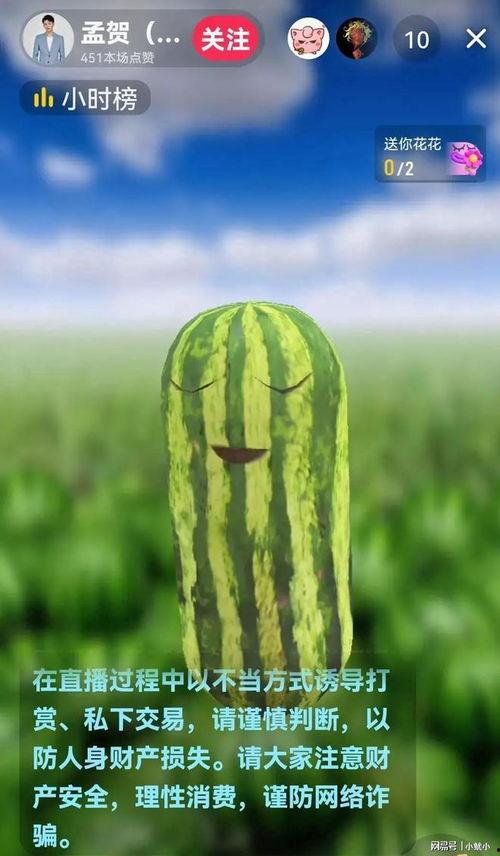 新瓜最新爆料带货,带货达人最新力作，揭秘热门产品背后的秘密