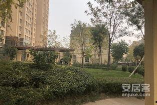 临汾金域王府爆料案件最新,揭开神秘面纱，探寻真相背后”