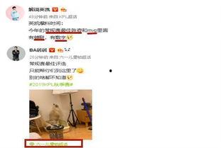 凯六最新爆料,揭秘神秘科技背后的秘密