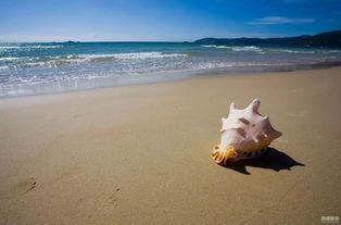 海南海边爆料案件最新,真相即将揭晓！