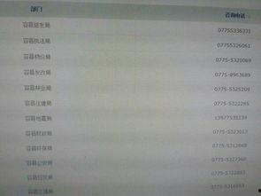 广西最新爆料新闻网站,聚焦热点事件，揭秘幕后真相