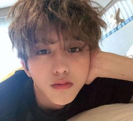 蔡徐坤最新爆料研究会,最新爆料研究会背后的故事与秘密